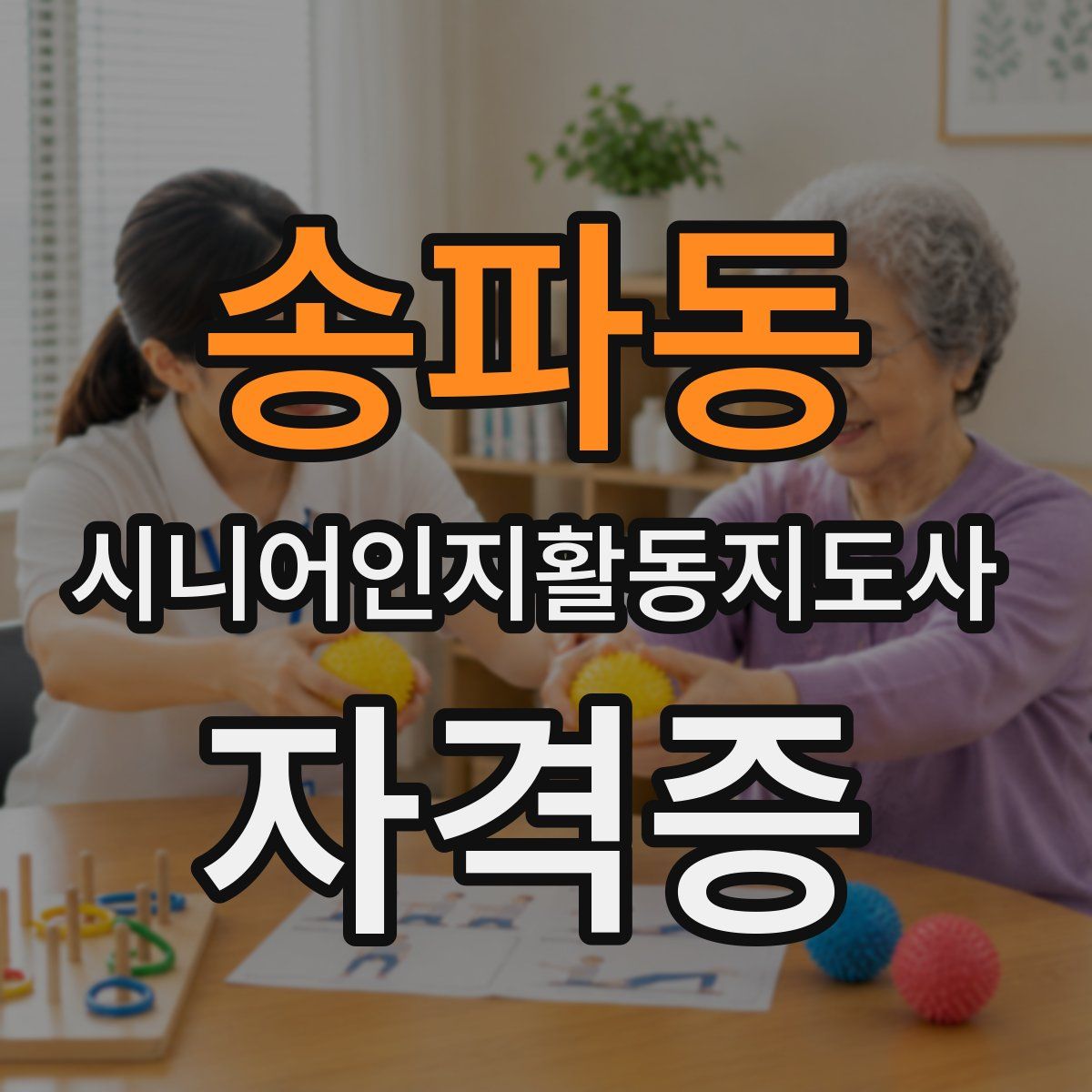 송파동 시니어인지활동지도사 자격증