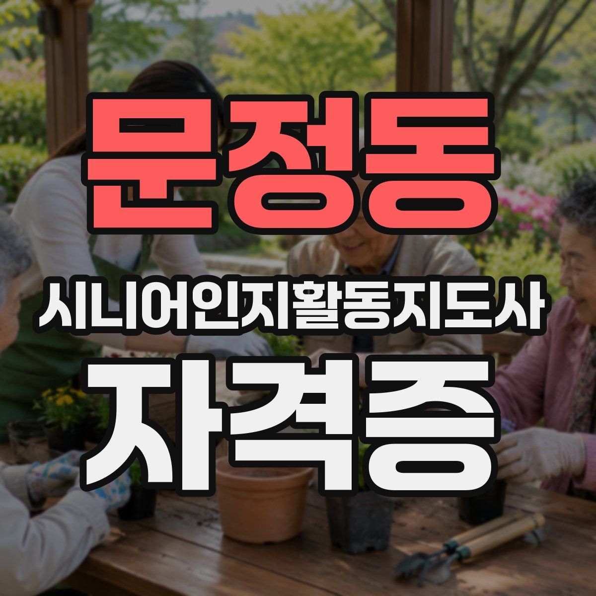 문정동 시니어인지활동지도사 자격증