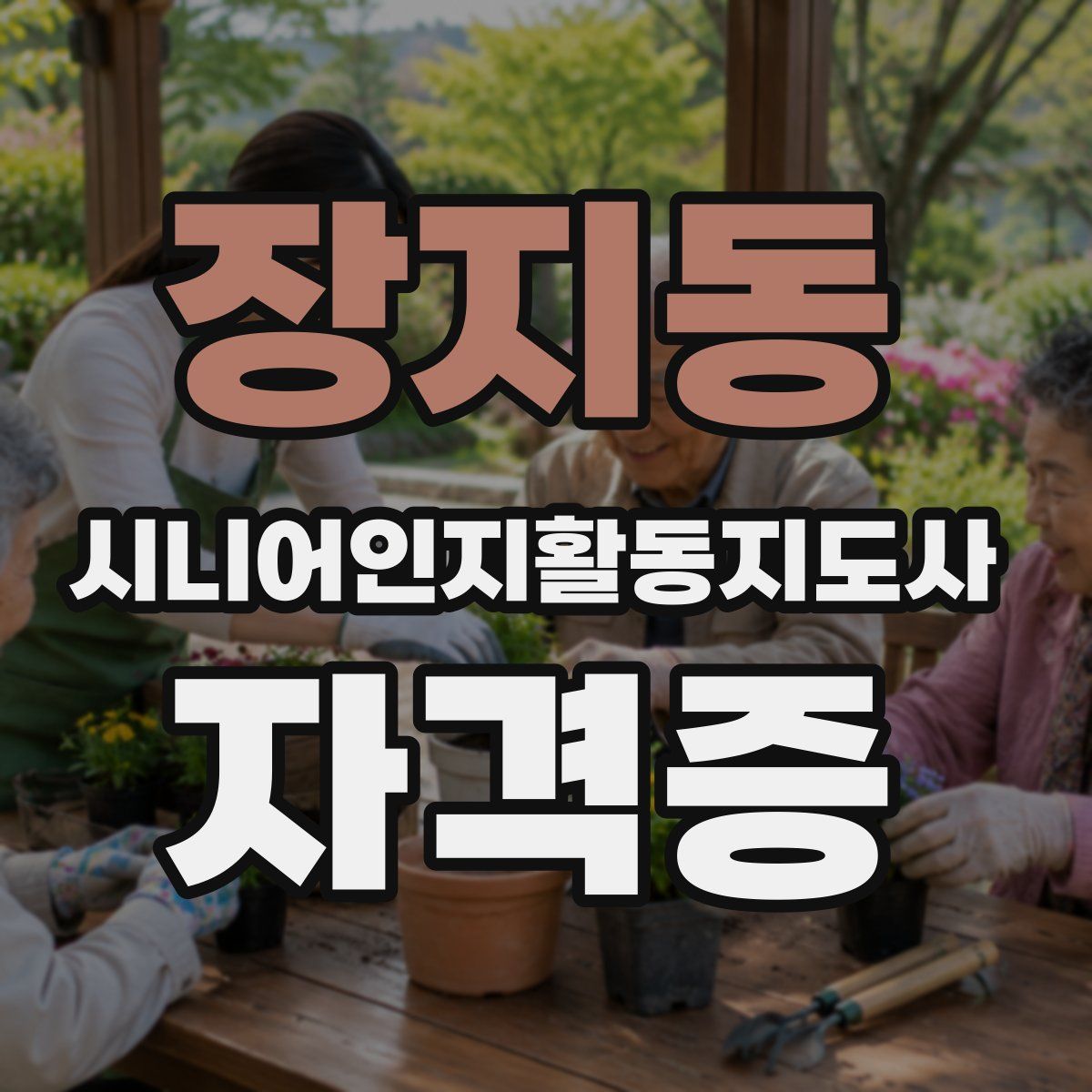 장지동 시니어인지활동지도사 자격증
