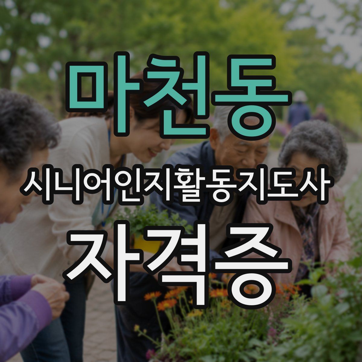마천동 시니어인지활동지도사 자격증