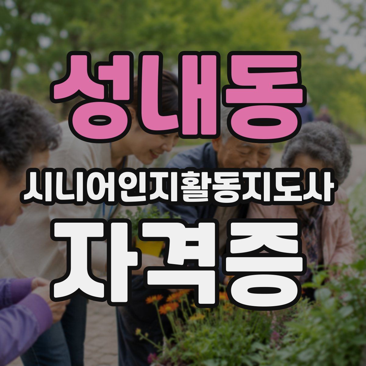 성내동 시니어인지활동지도사 자격증