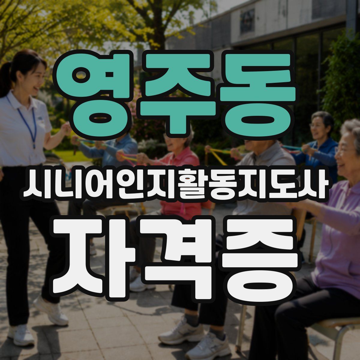 영주동 시니어인지활동지도사 자격증