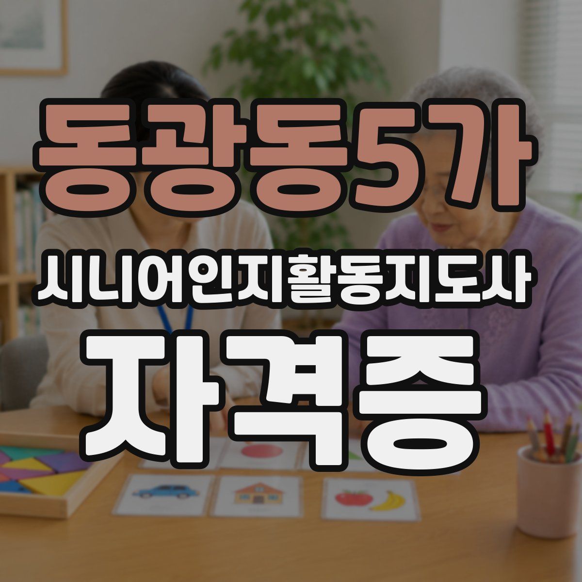 동광동5가 시니어인지활동지도사 자격증