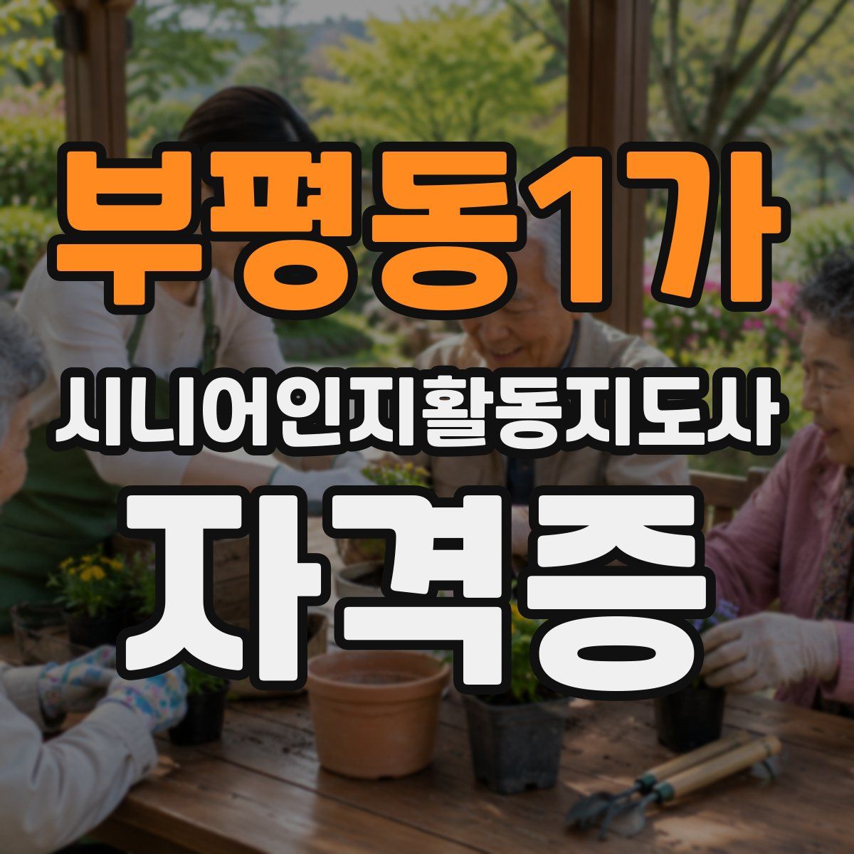 부평동1가 시니어인지활동지도사 자격증