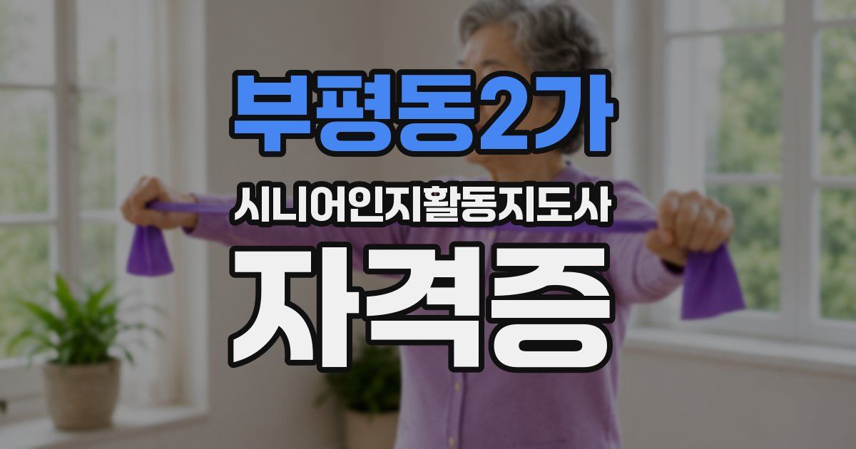 부평동2가 시니어인지활동지도사 자격증