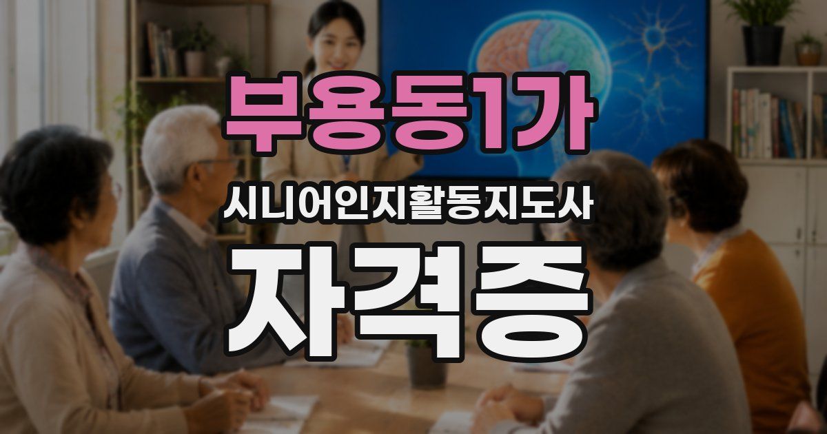 부용동1가 시니어인지활동지도사 자격증