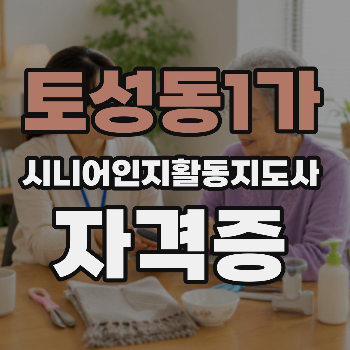 토성동1가 시니어인지활동지도사 자격증