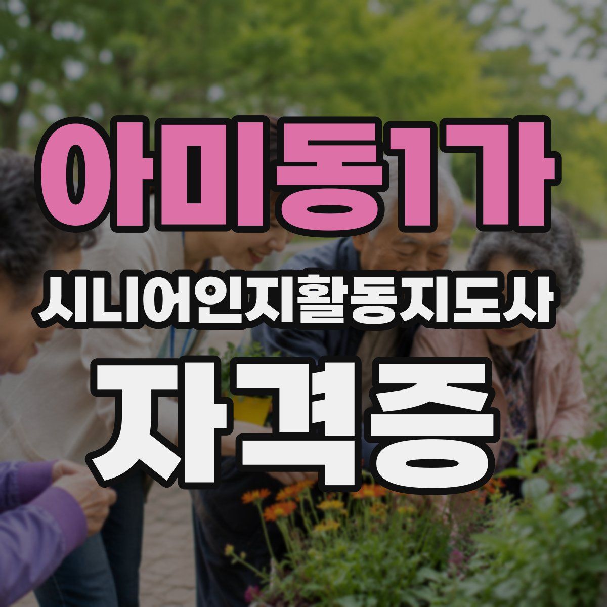 아미동1가 시니어인지활동지도사 자격증