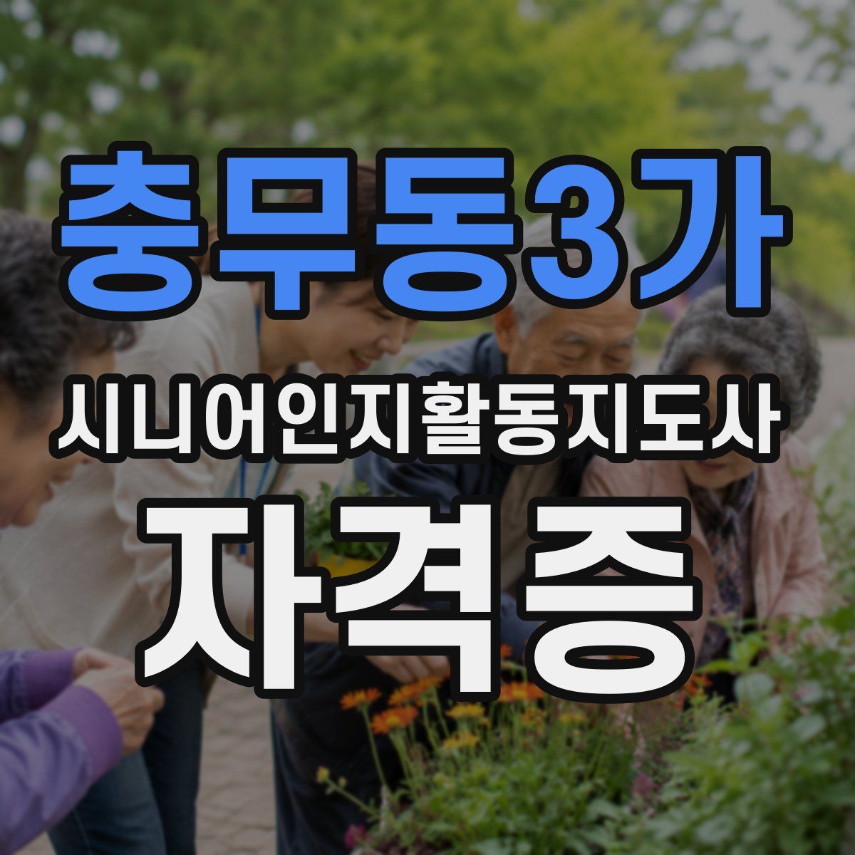 충무동3가 시니어인지활동지도사 자격증