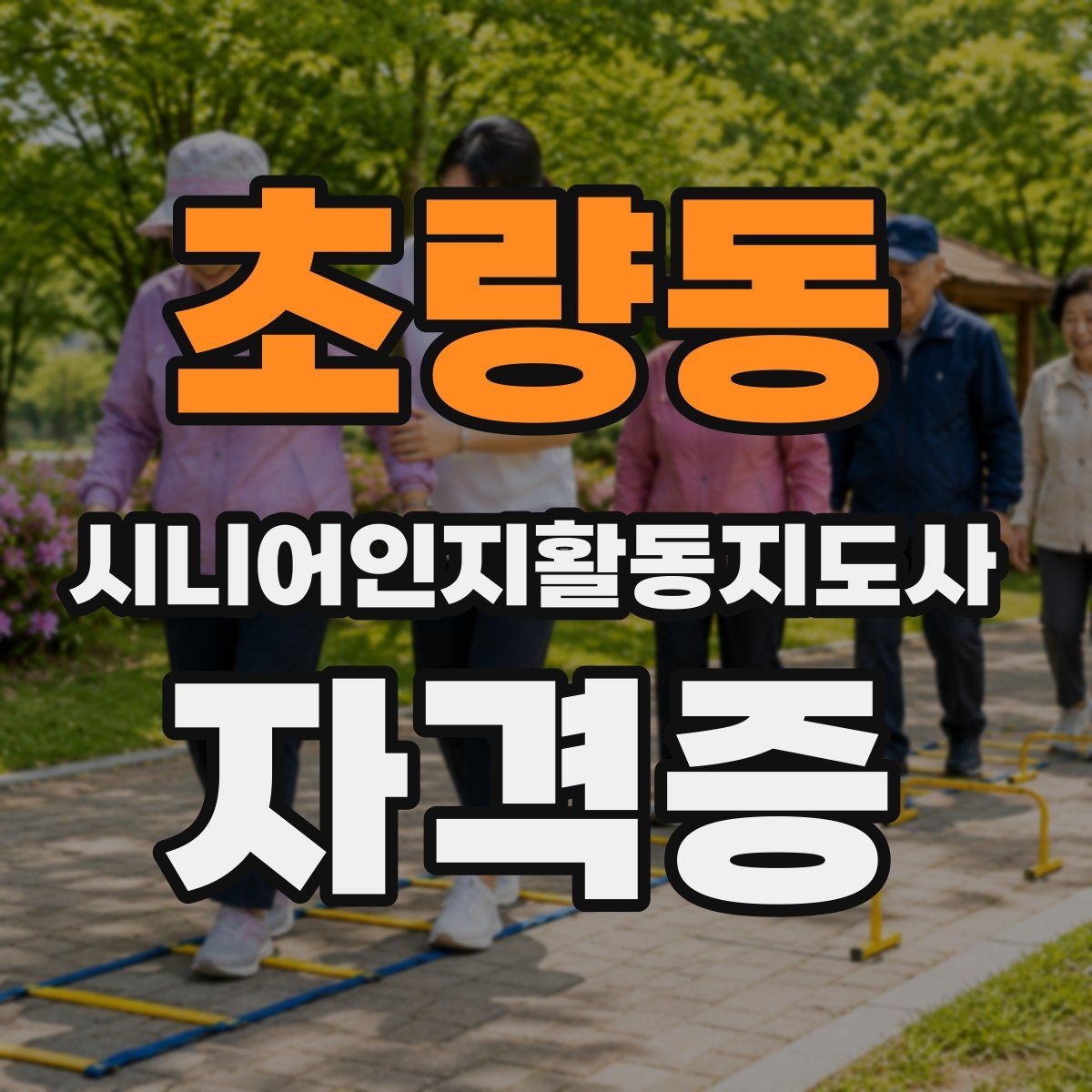 초량동 시니어인지활동지도사 자격증