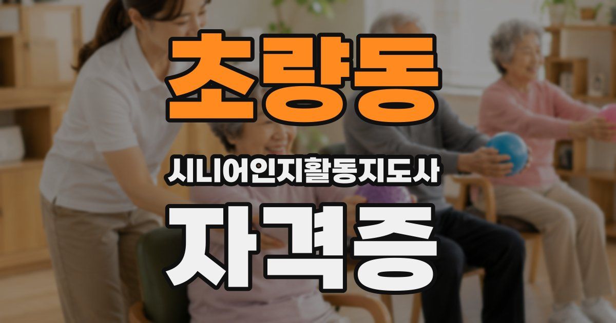 초량동 시니어인지활동지도사 자격증