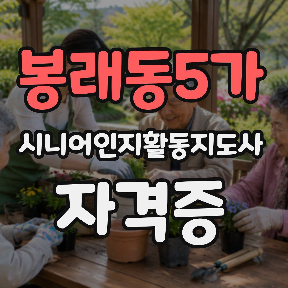 봉래동5가 시니어인지활동지도사 자격증