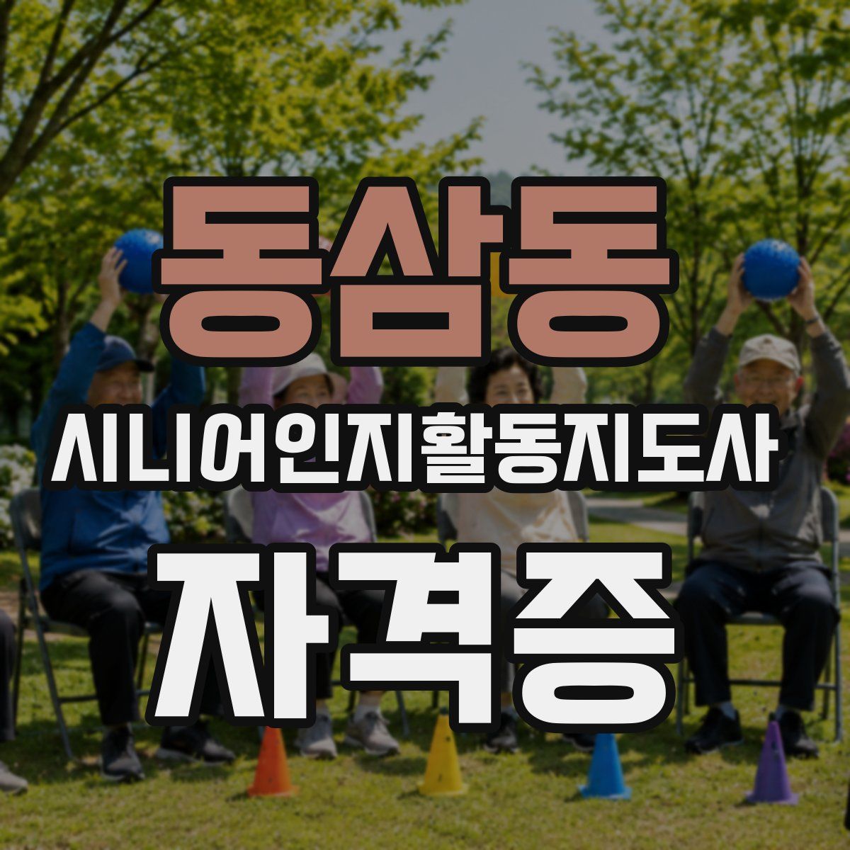동삼동 시니어인지활동지도사 자격증