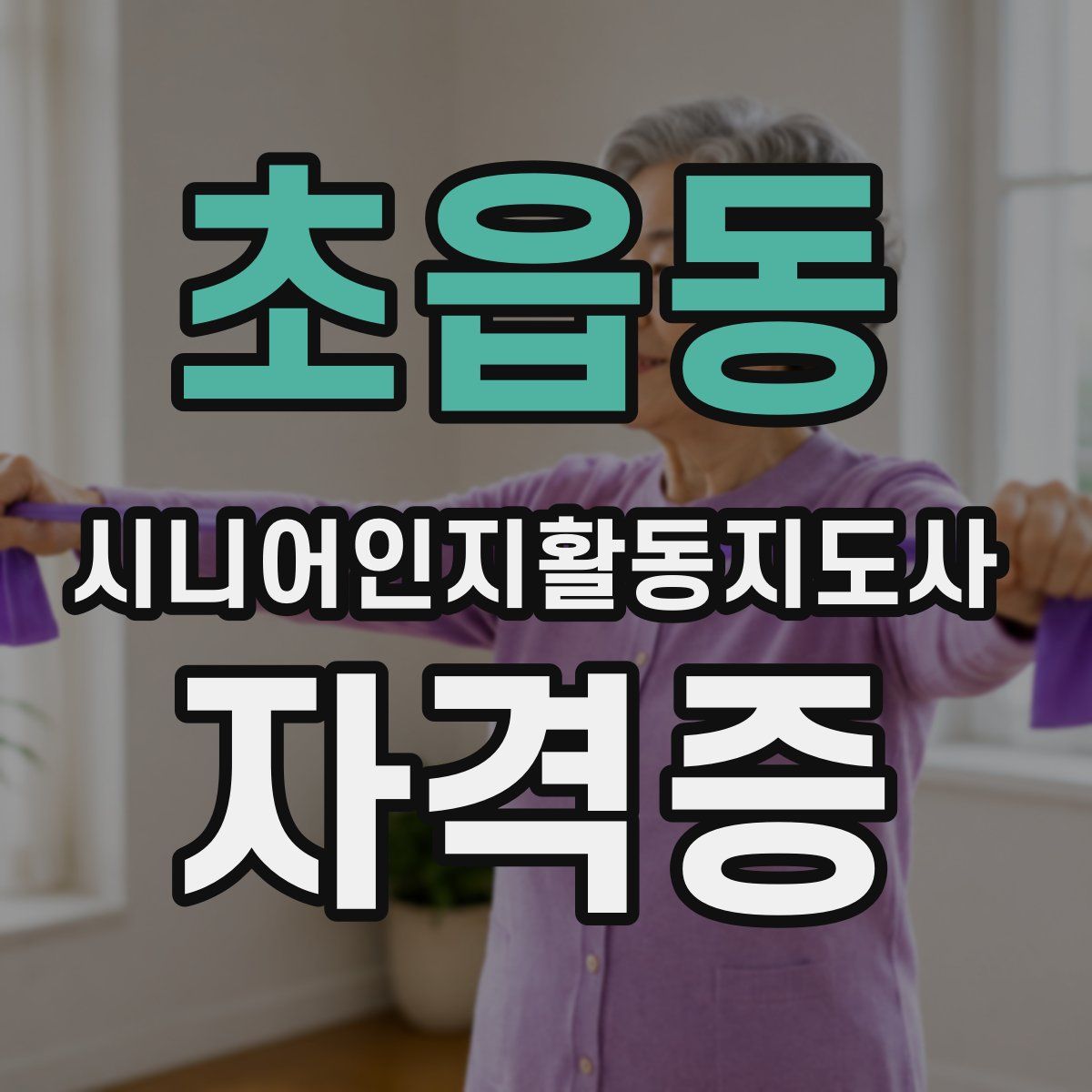 초읍동 시니어인지활동지도사 자격증