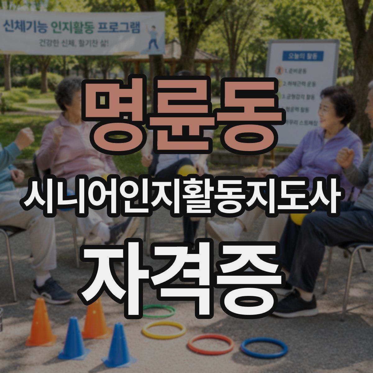 명륜동 시니어인지활동지도사 자격증