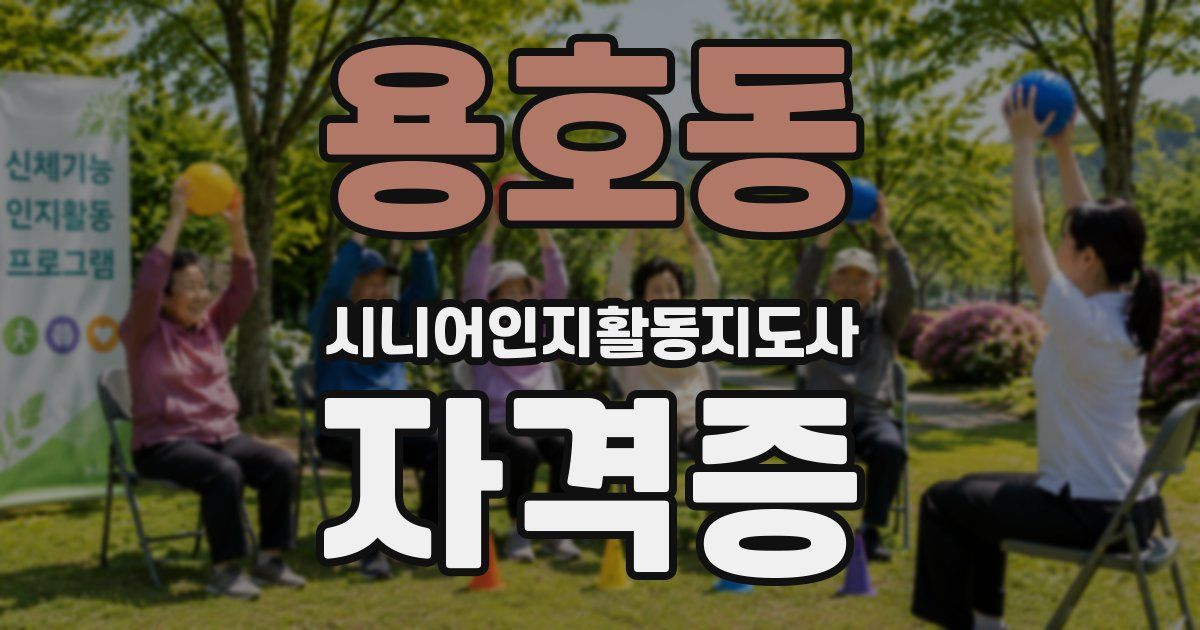용호동 시니어인지활동지도사 자격증