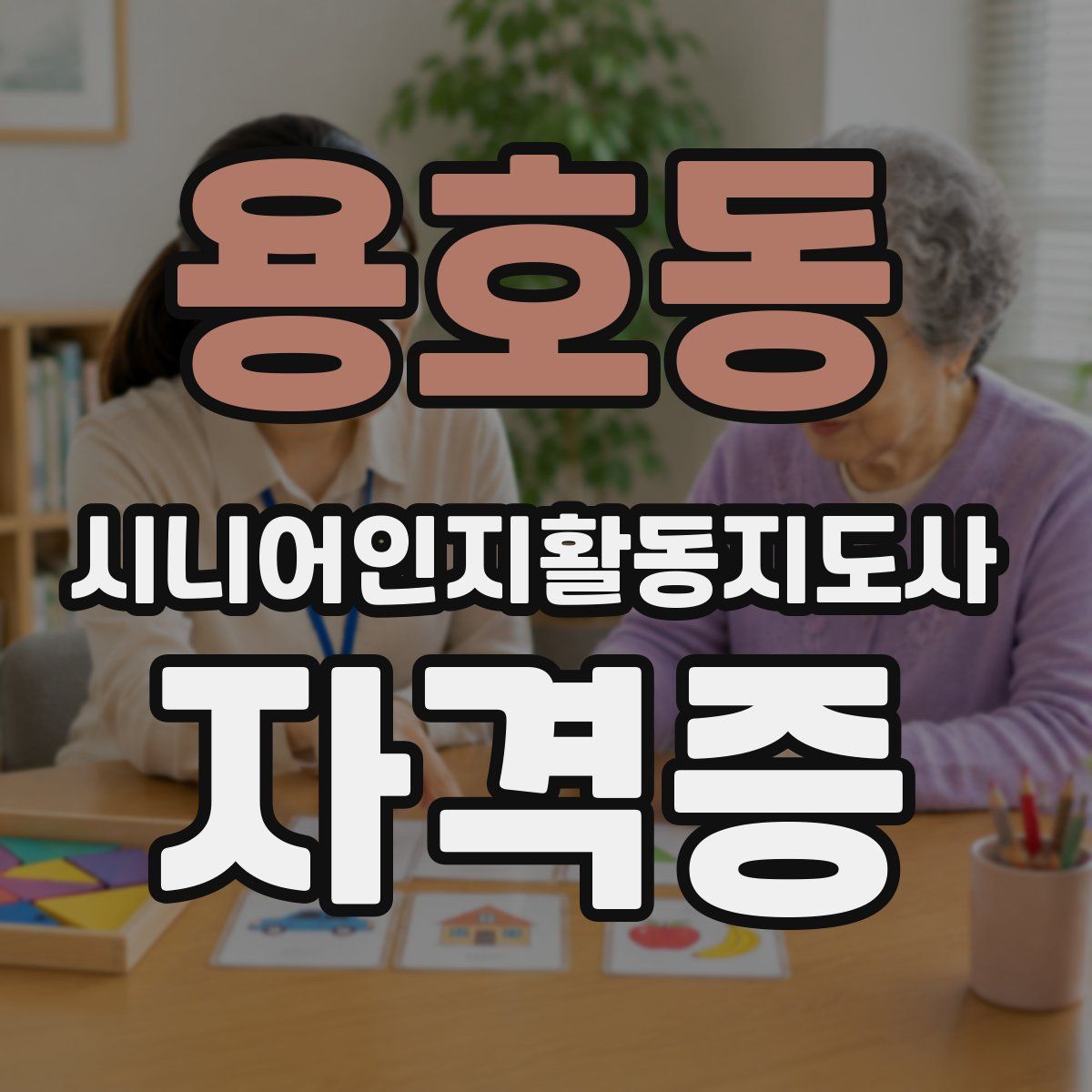 용호동 시니어인지활동지도사 자격증