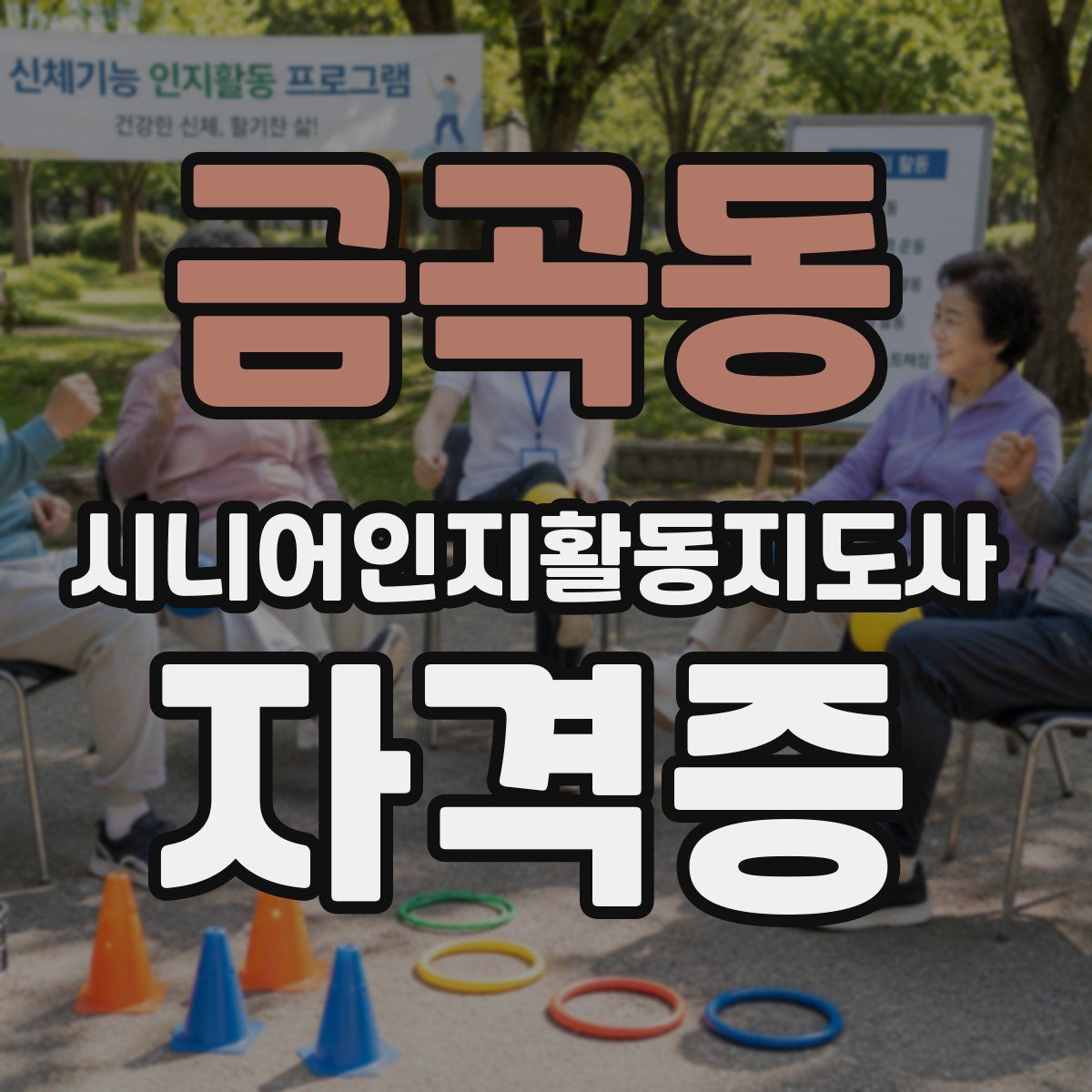 금곡동 시니어인지활동지도사 자격증