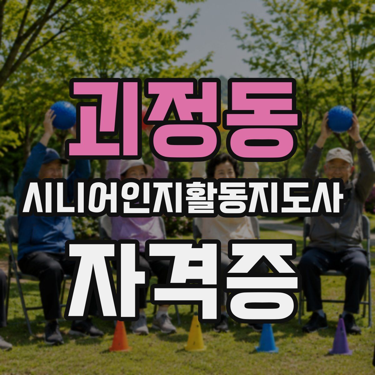 괴정동 시니어인지활동지도사 자격증