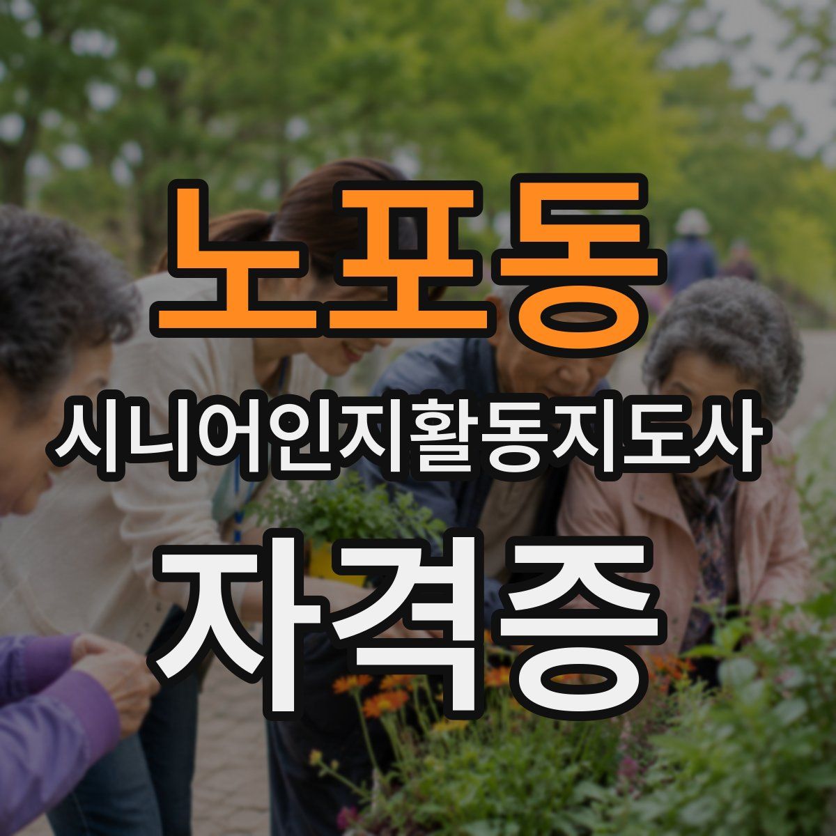 노포동 시니어인지활동지도사 자격증