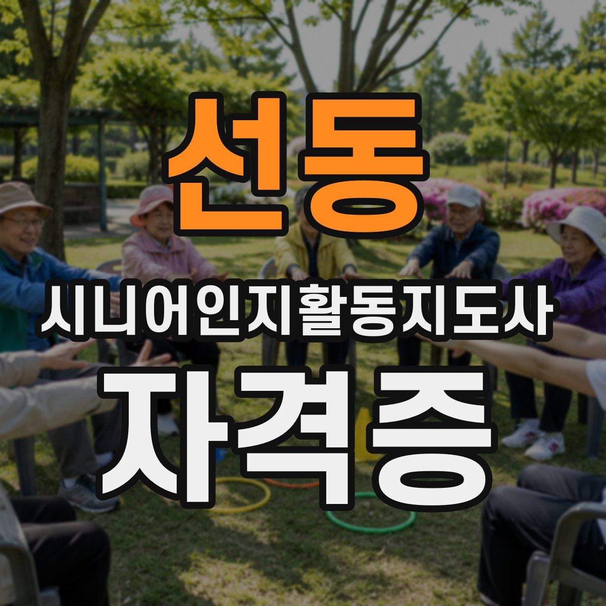 선동 시니어인지활동지도사 자격증