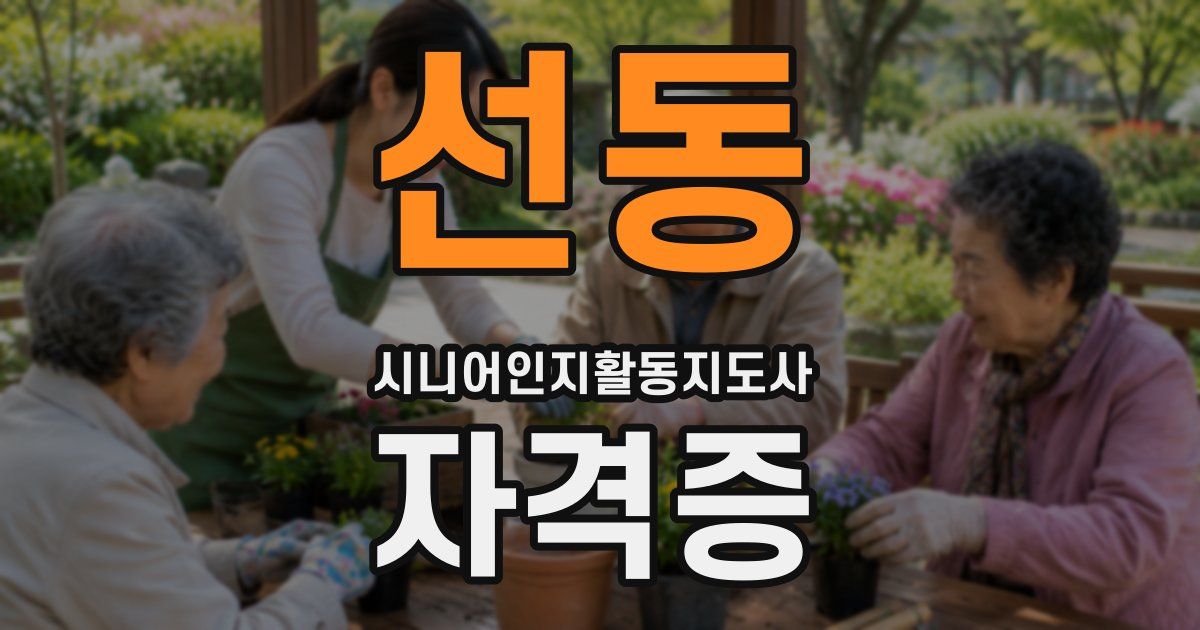 선동 시니어인지활동지도사 자격증