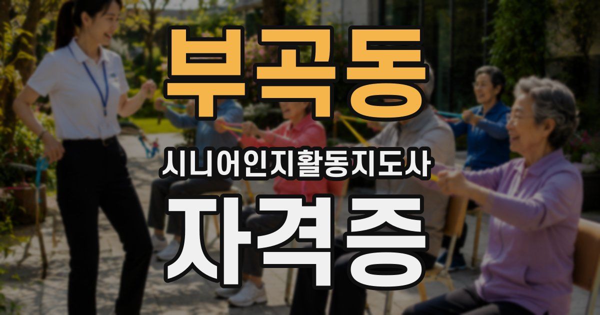 부곡동 시니어인지활동지도사 자격증