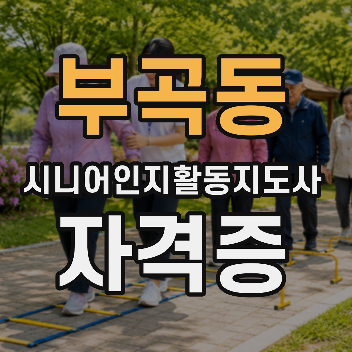 부곡동 시니어인지활동지도사 자격증