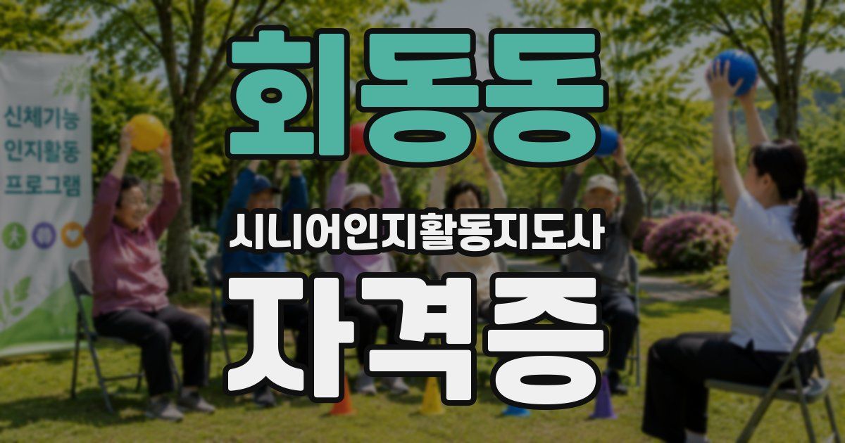 회동동 시니어인지활동지도사 자격증