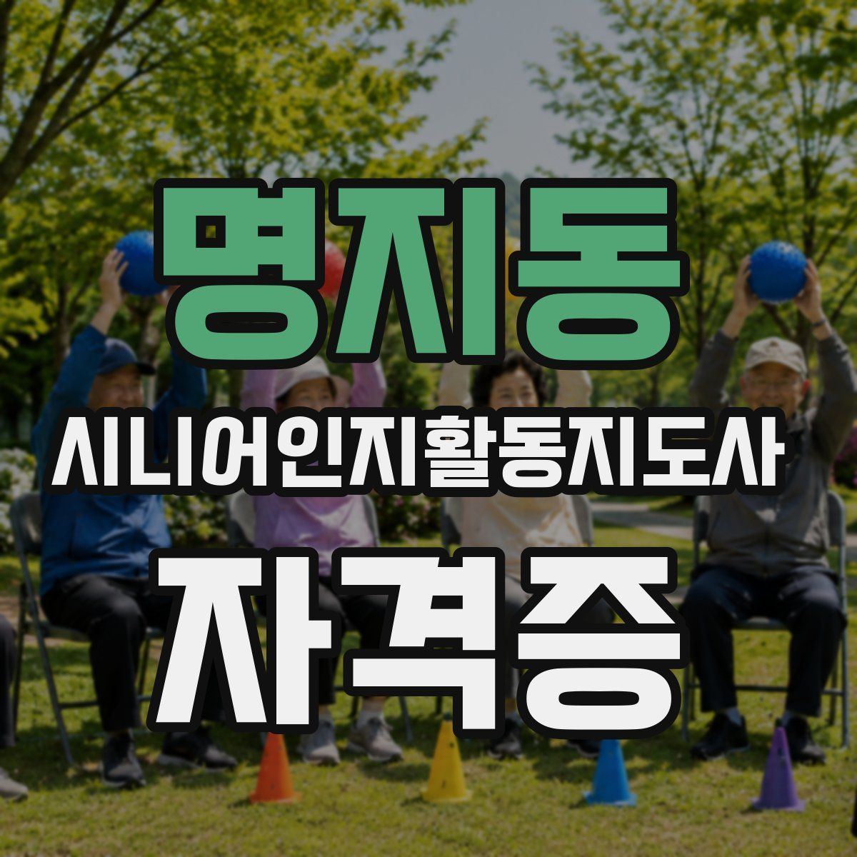 명지동 시니어인지활동지도사 자격증