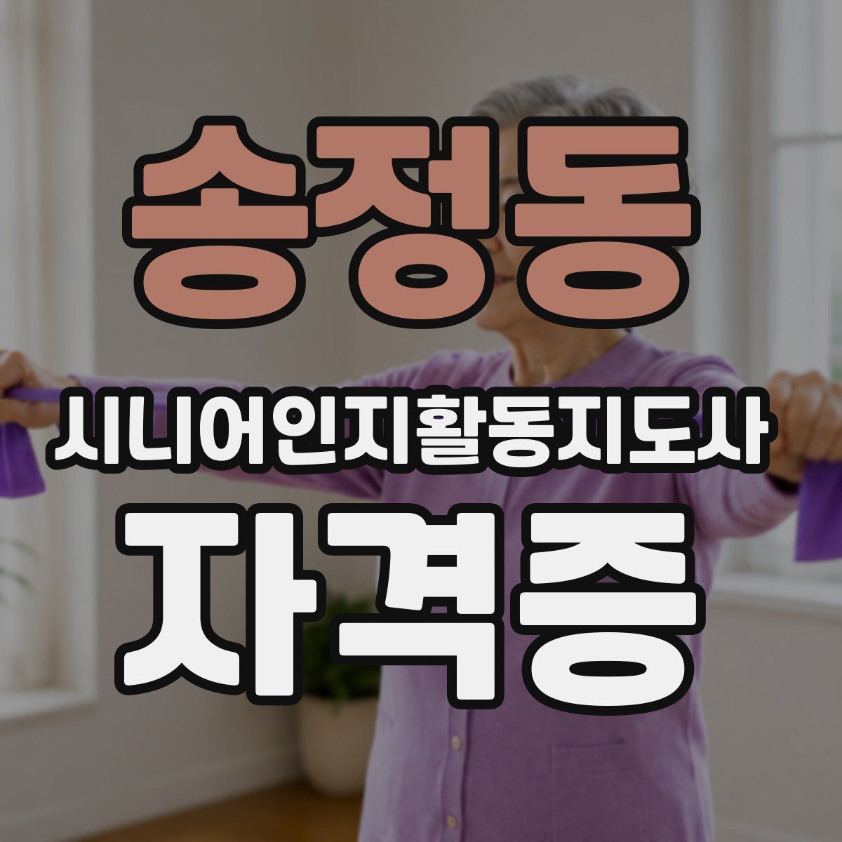 송정동 시니어인지활동지도사 자격증