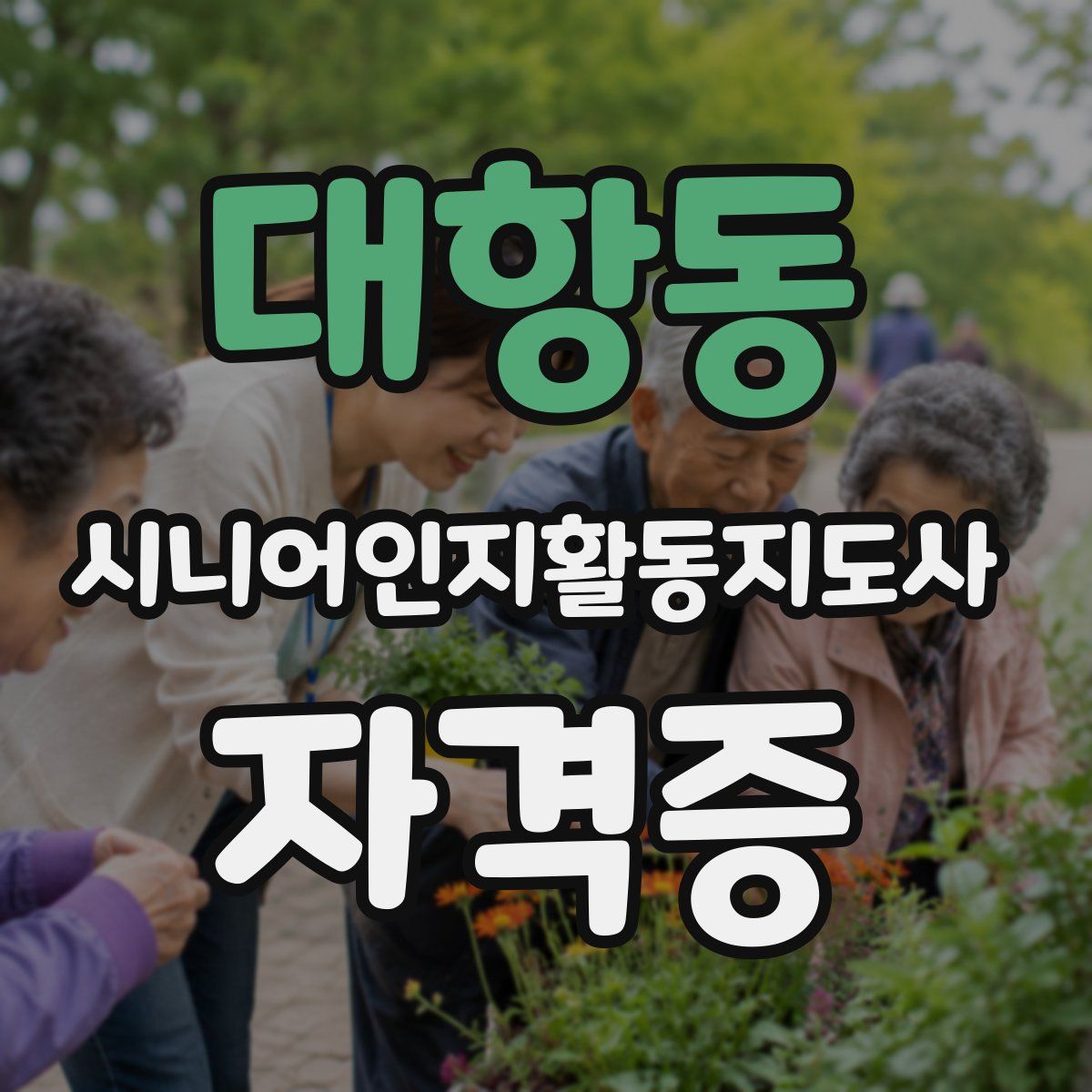 대항동 시니어인지활동지도사 자격증