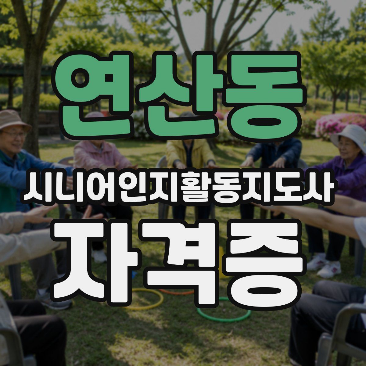 연산동 시니어인지활동지도사 자격증