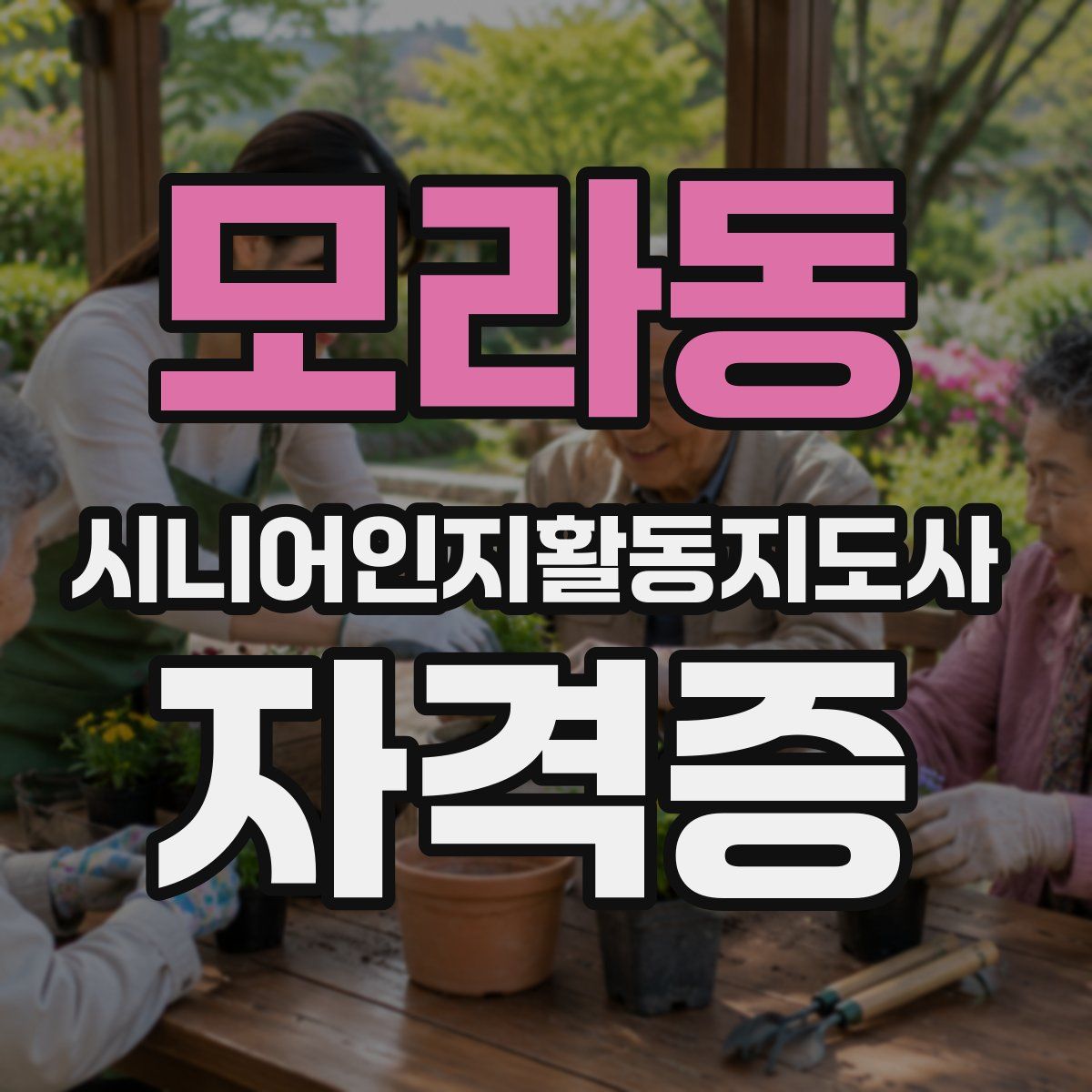 모라동 시니어인지활동지도사 자격증