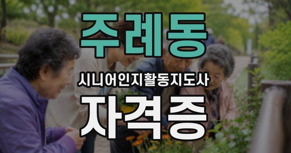 주례동 시니어인지활동지도사 자격증