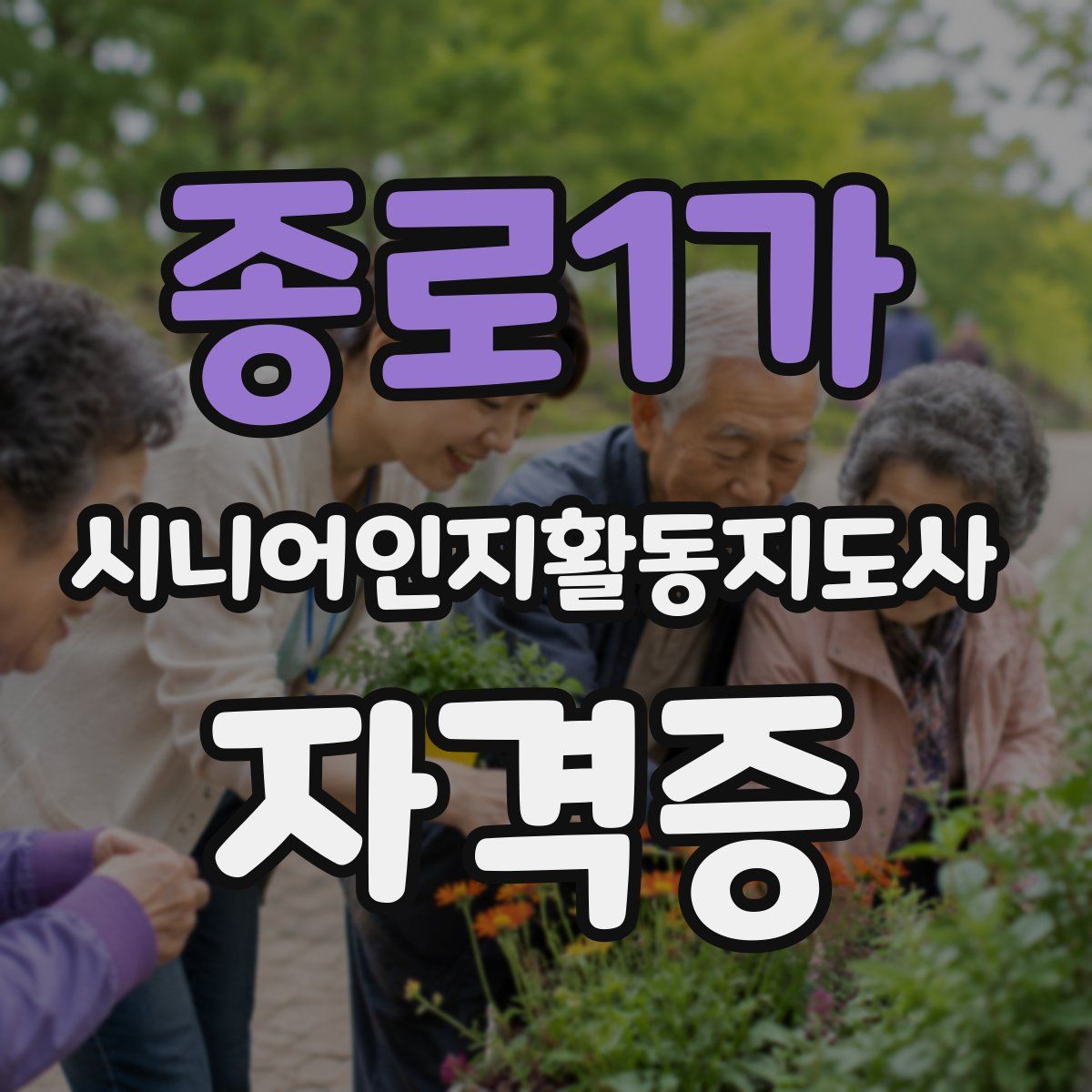종로1가 시니어인지활동지도사 자격증