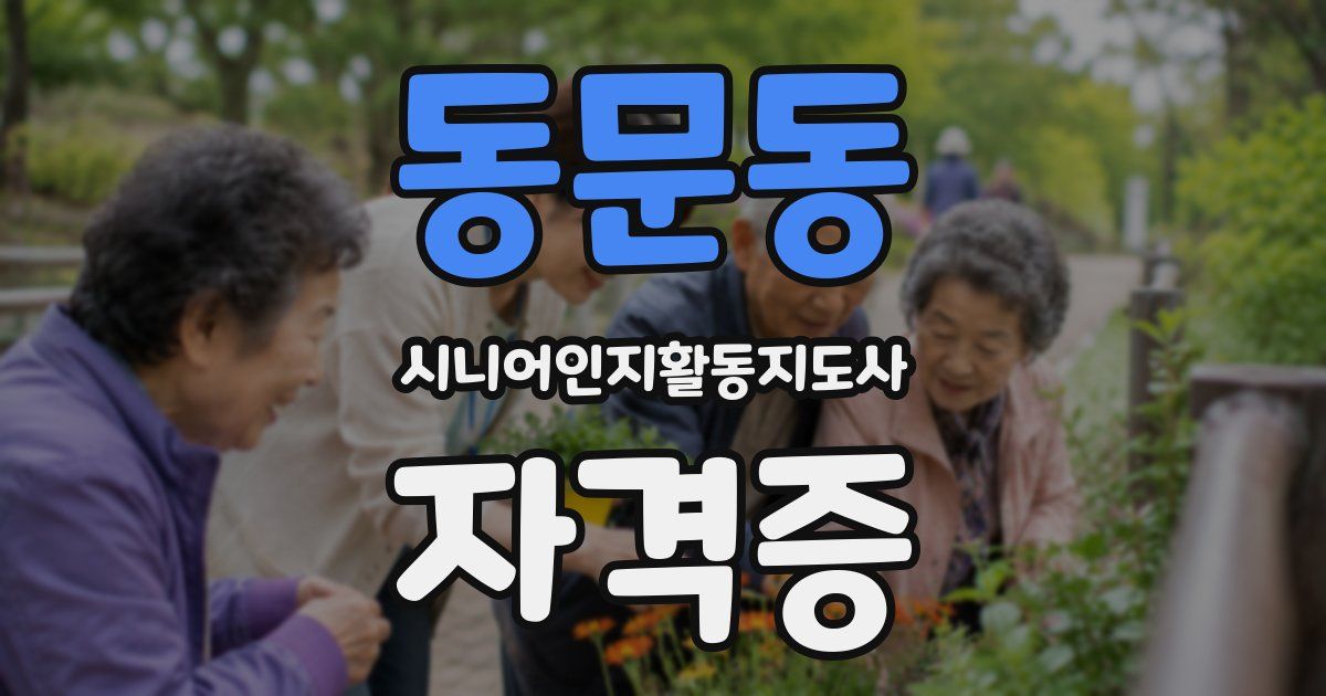 동문동 시니어인지활동지도사 자격증