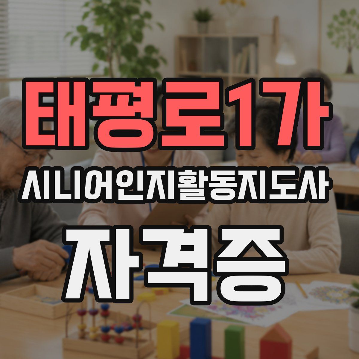 태평로1가 시니어인지활동지도사 자격증