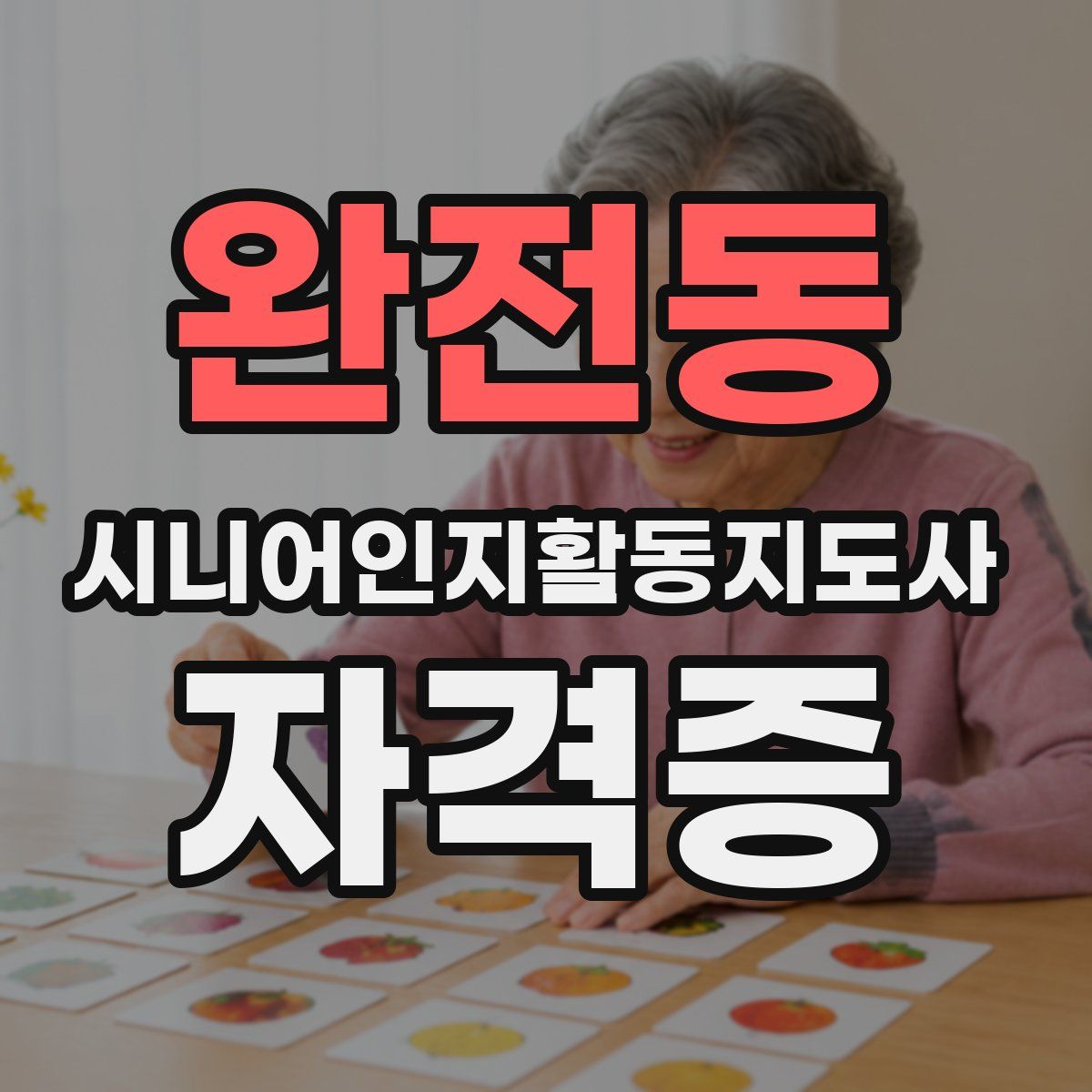 완전동 시니어인지활동지도사 자격증
