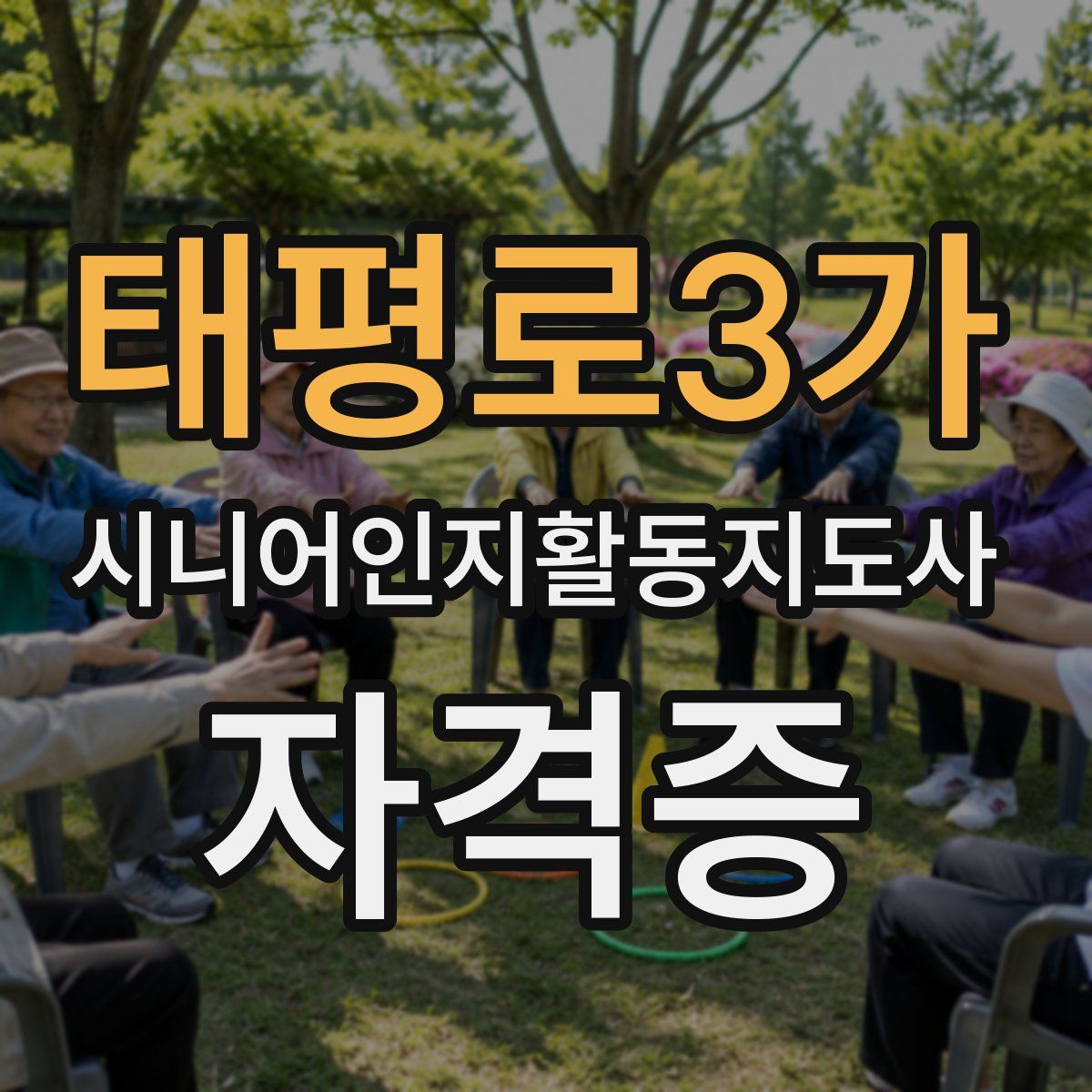 태평로3가 시니어인지활동지도사 자격증