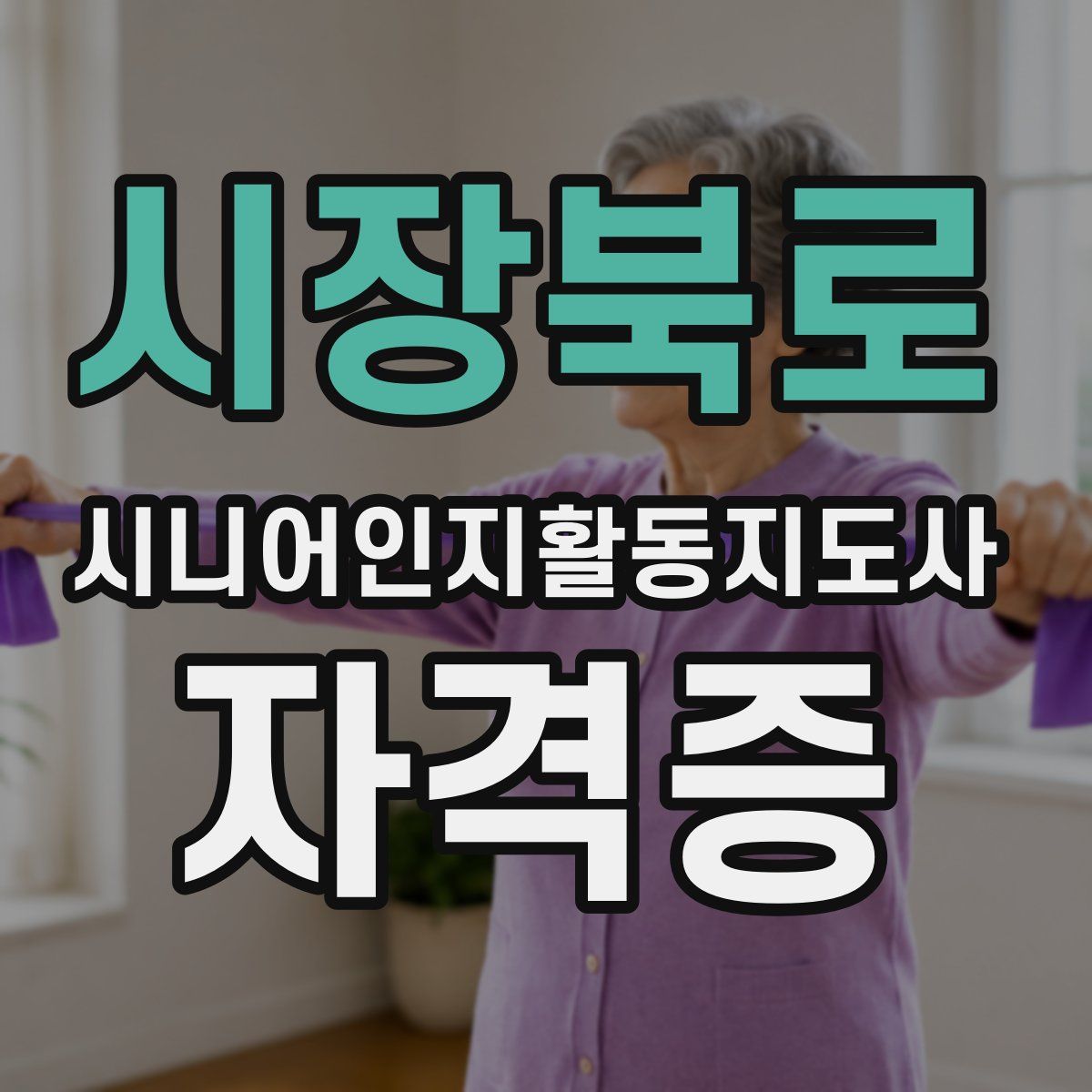 시장북로 시니어인지활동지도사 자격증