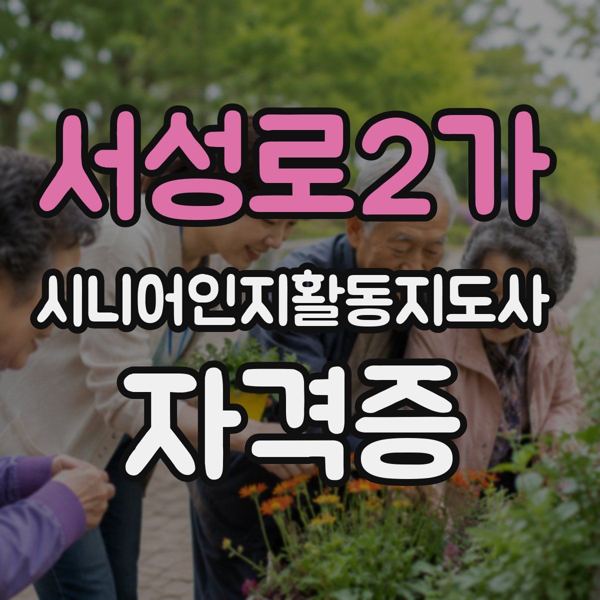 서성로2가 시니어인지활동지도사 자격증