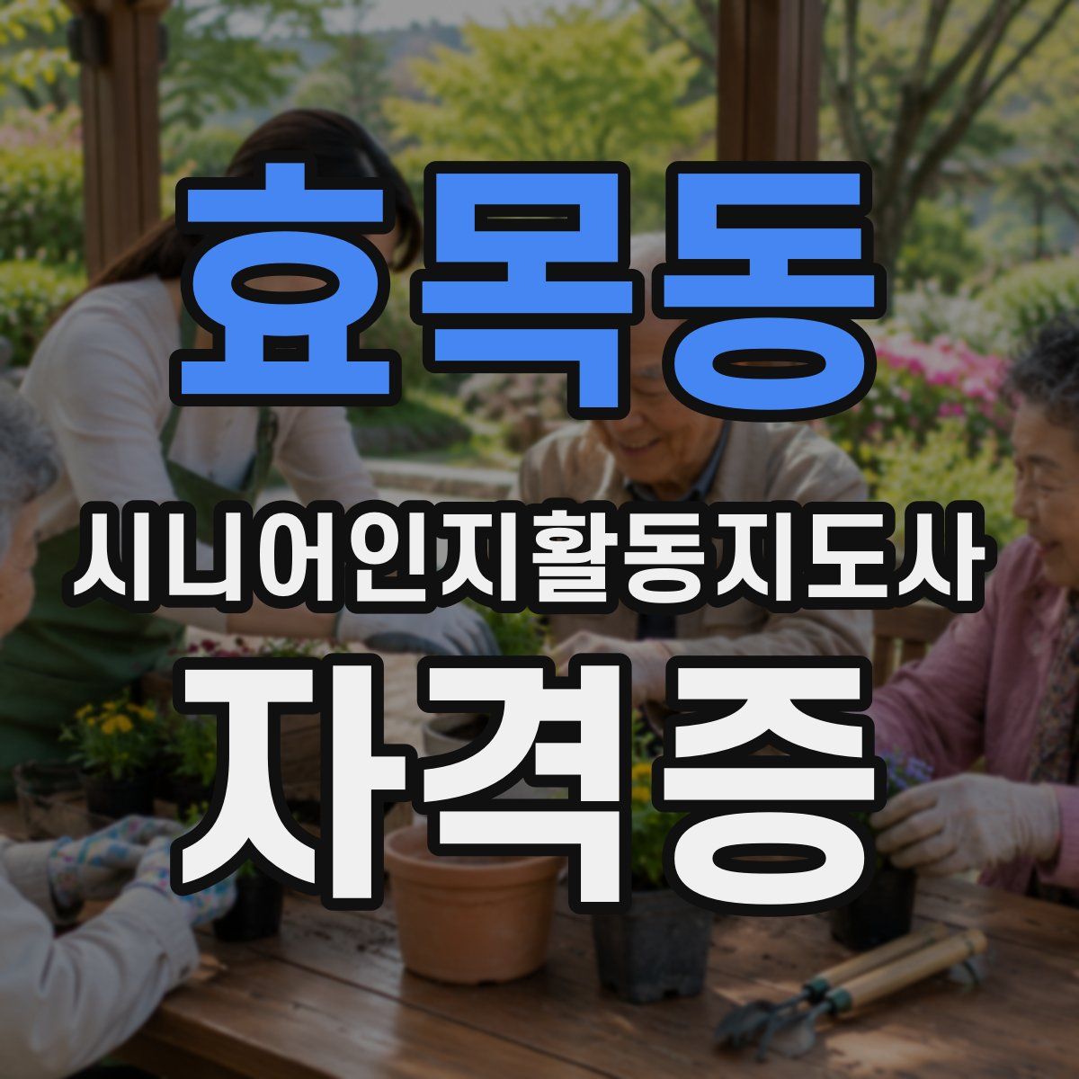 효목동 시니어인지활동지도사 자격증