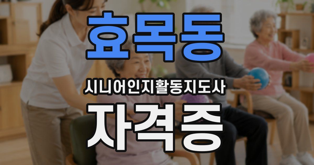 효목동 시니어인지활동지도사 자격증