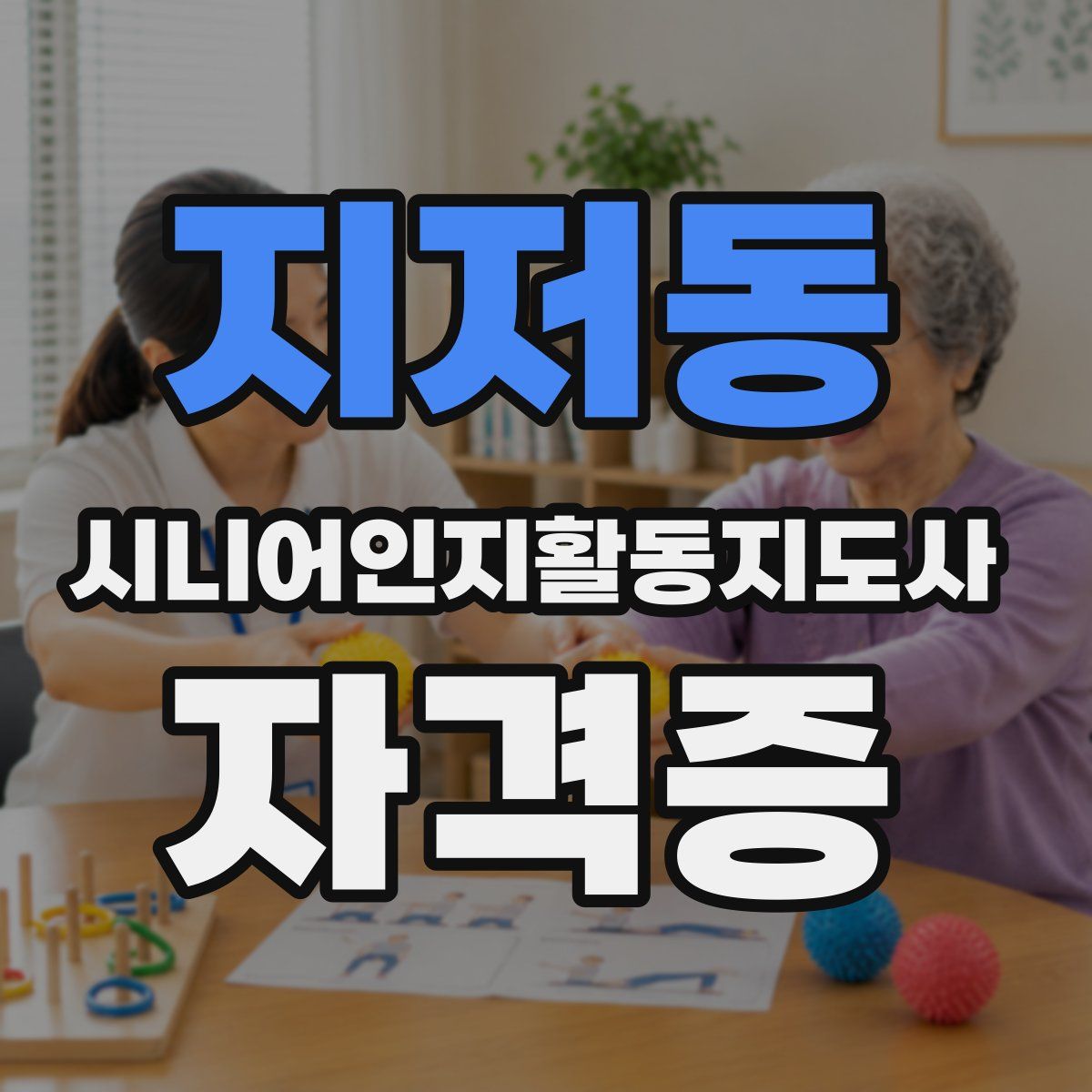 지저동 시니어인지활동지도사 자격증