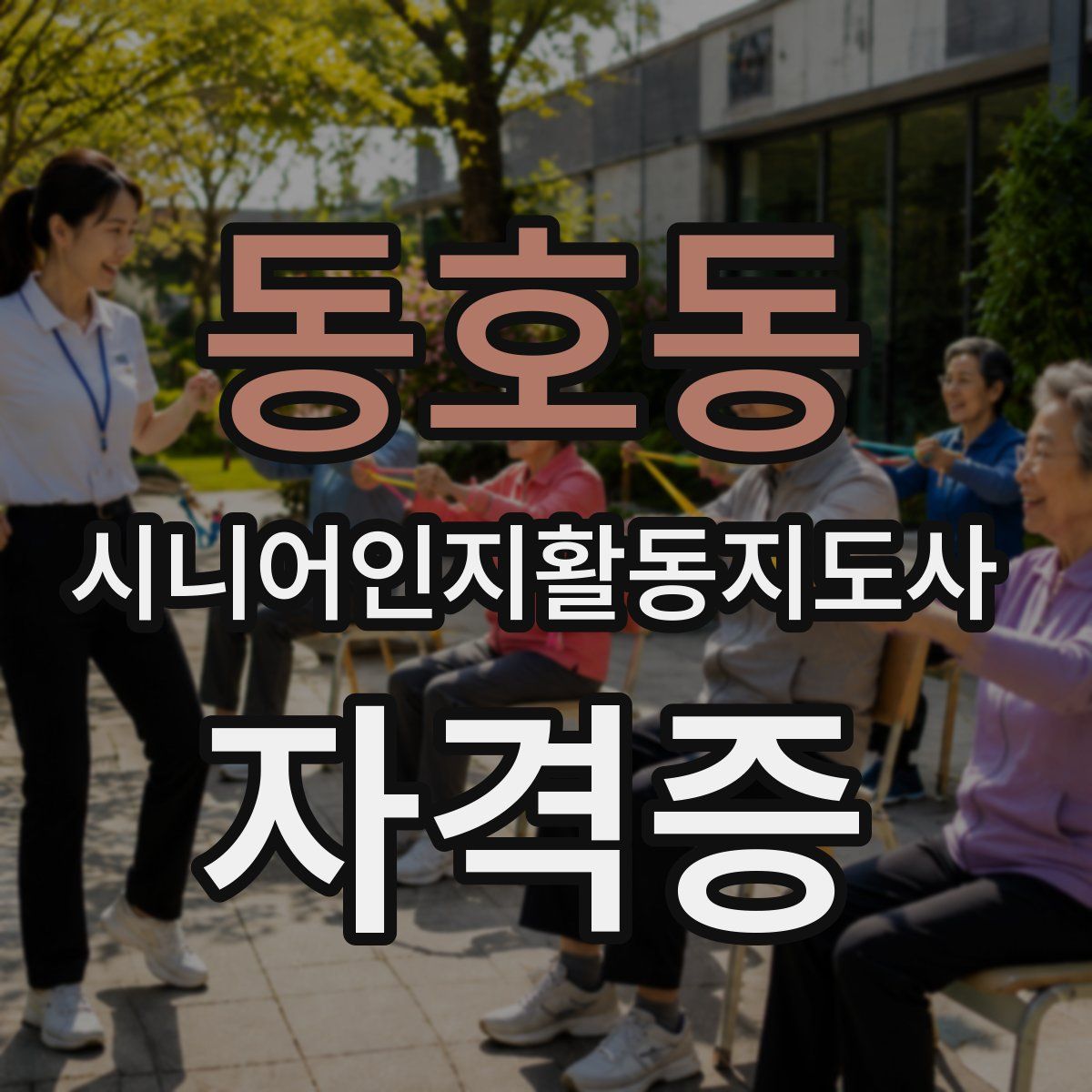 동호동 시니어인지활동지도사 자격증