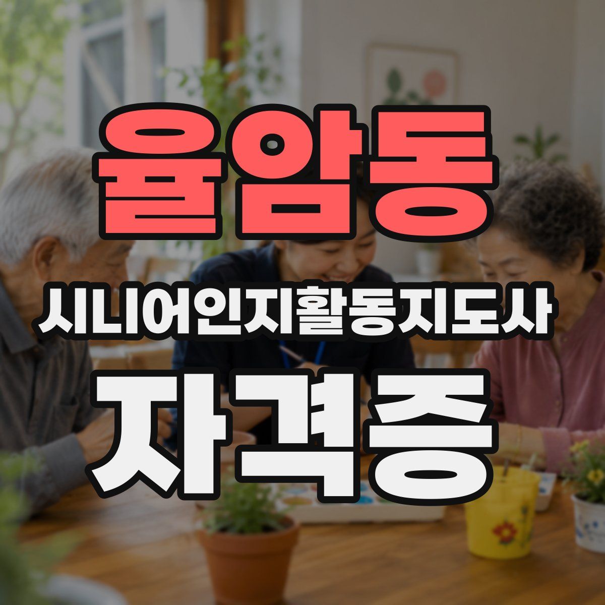 율암동 시니어인지활동지도사 자격증