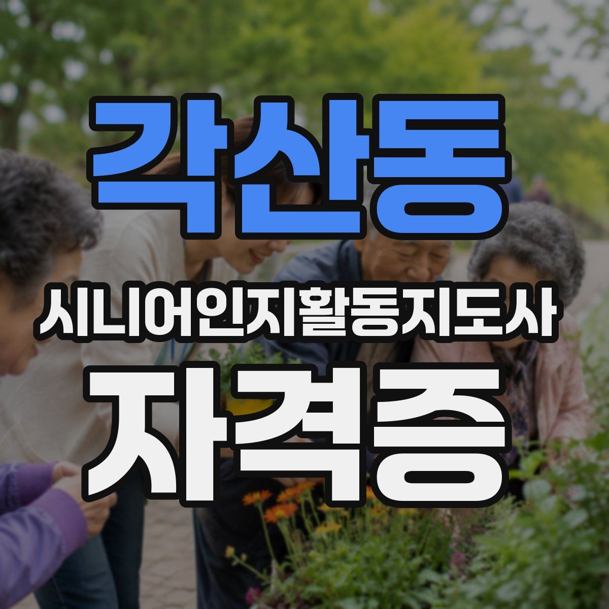 각산동 시니어인지활동지도사 자격증