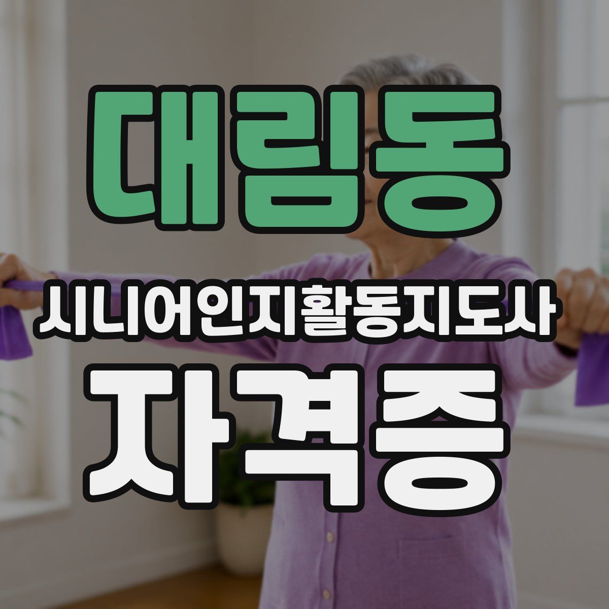 대림동 시니어인지활동지도사 자격증