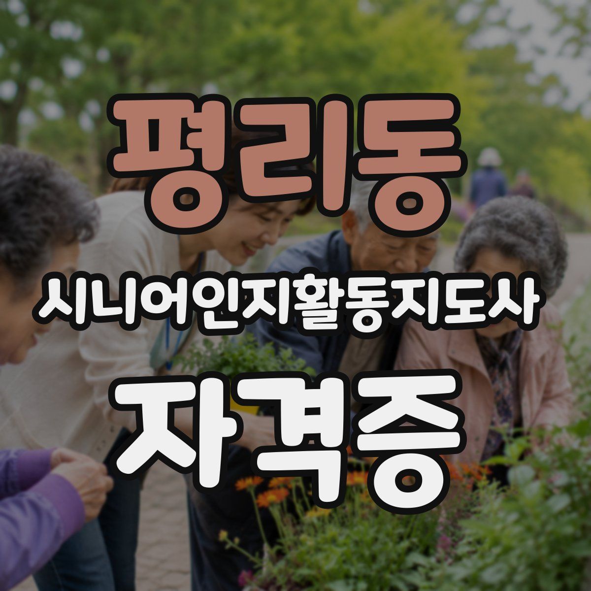 평리동 시니어인지활동지도사 자격증